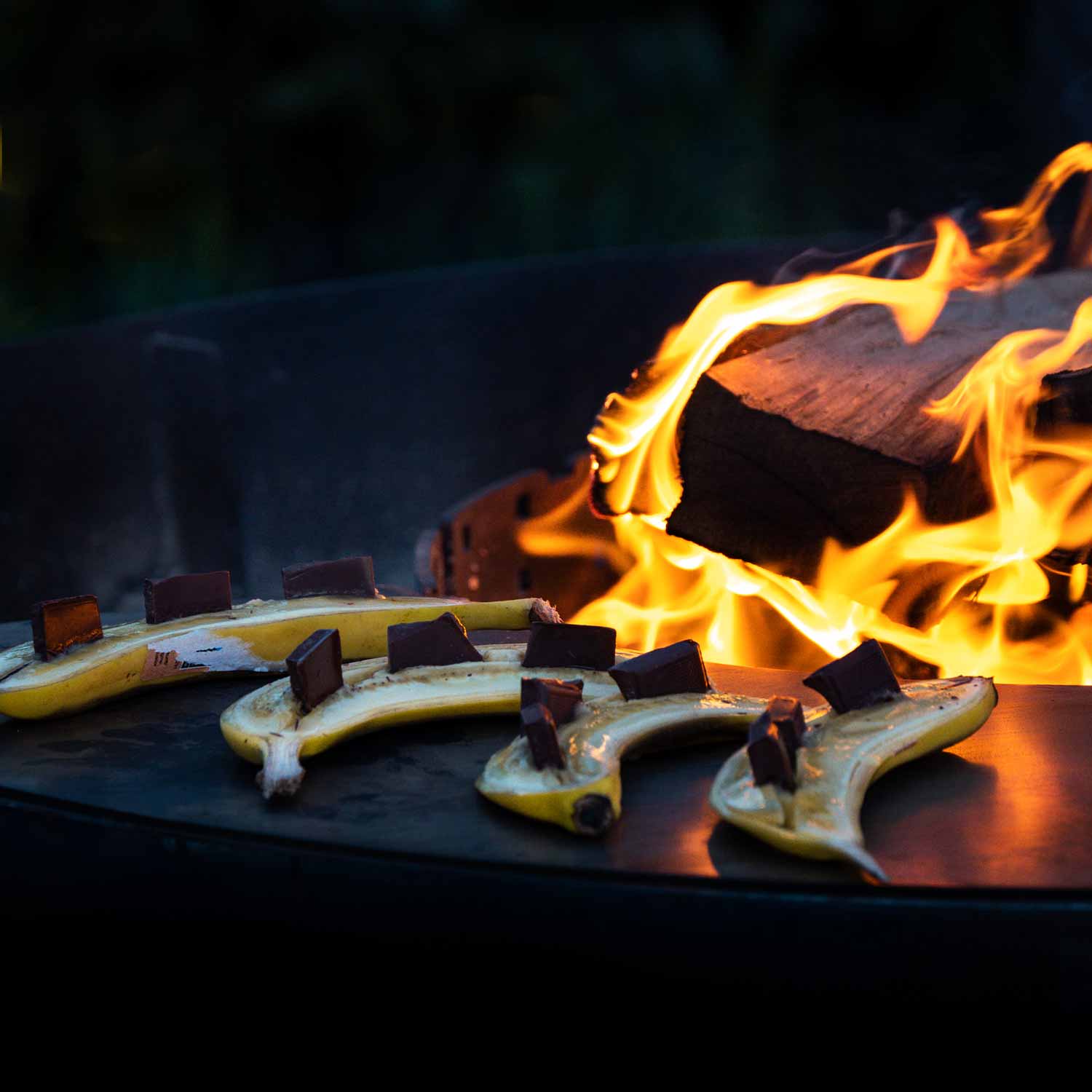 Feuerschale Alpaufzug Grill